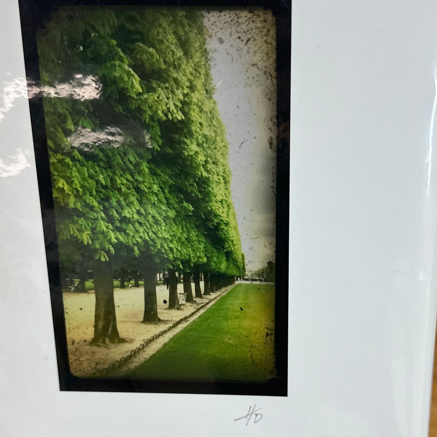 Harold Davis Photo of Luxembourg Gardens in Paris - image-2