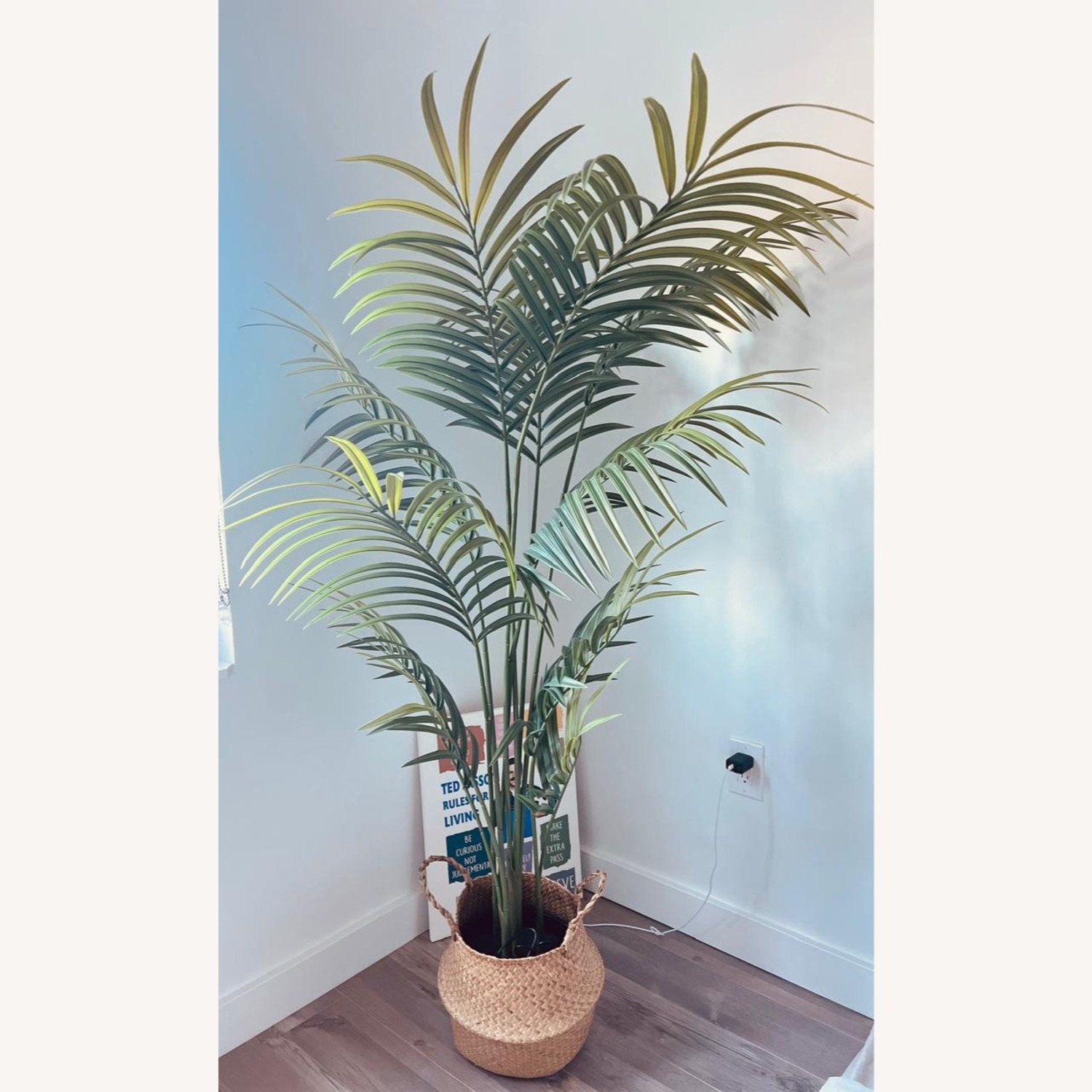 IKEA Plants Décor - image-1