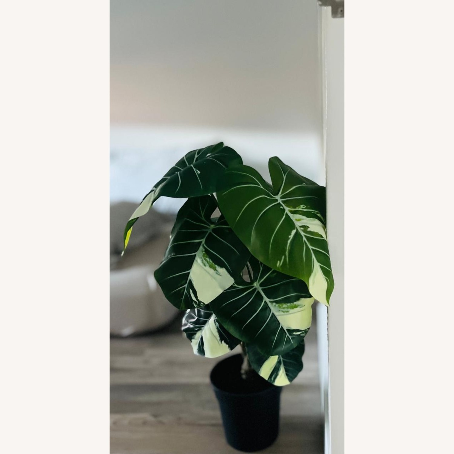 IKEA Plants Décor - image-2