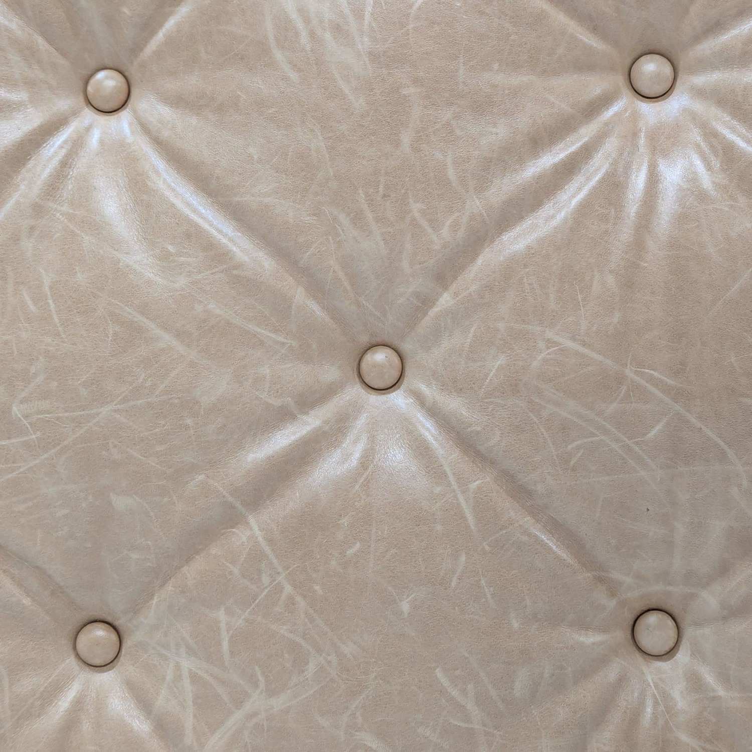West Elm Button Tufted Leather Bench - image-8