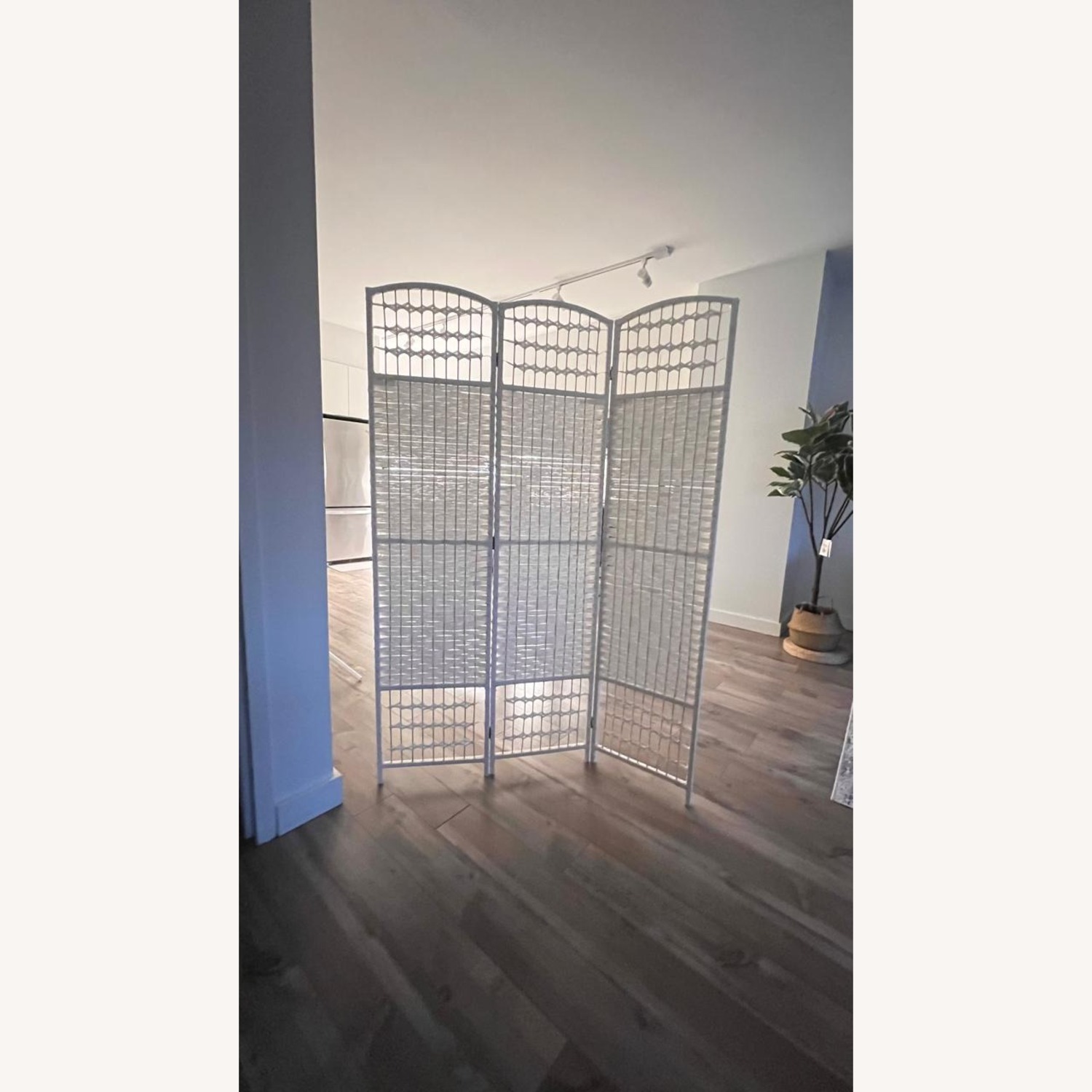 Amazon White Polyurethane Room Divider - image-2