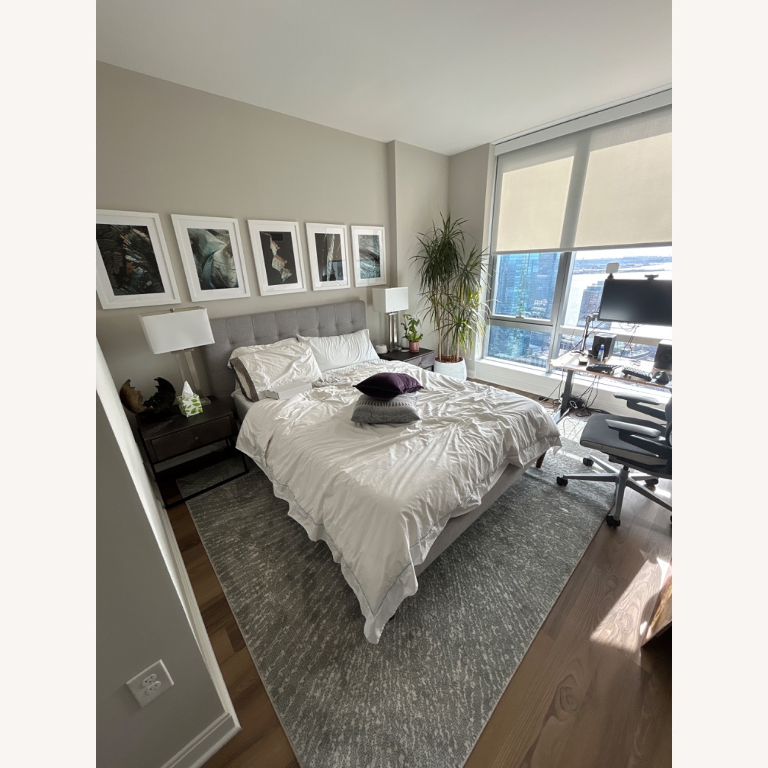 Light Gray Area Rug 8' x 10' - image-1