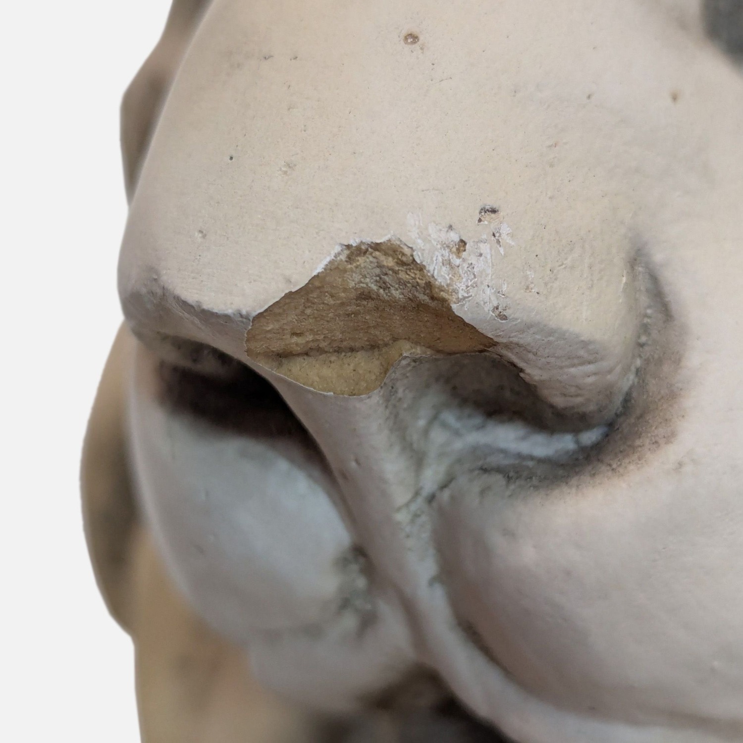 Large Guardian Lion Concrete Statue	 - image-7