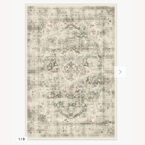 Used Ruggable Sarrah Area Rug 6' x 9' for sale on AptDeco