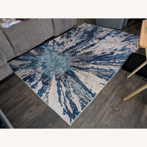 Used Multicolor 5x7 Area Rug  for sale on AptDeco