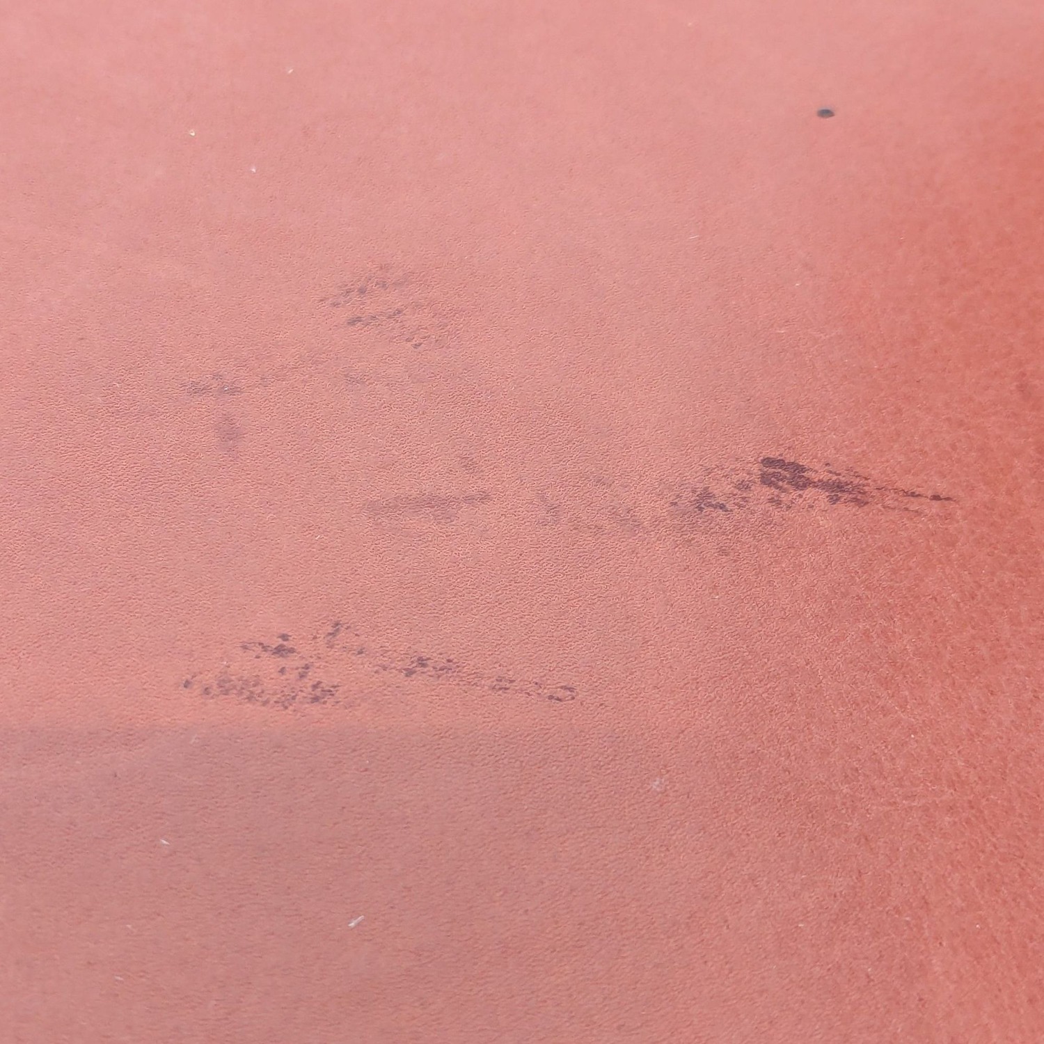 Holly Hunt/Christian Liaigre Harry Set of Dining Chair - image-9