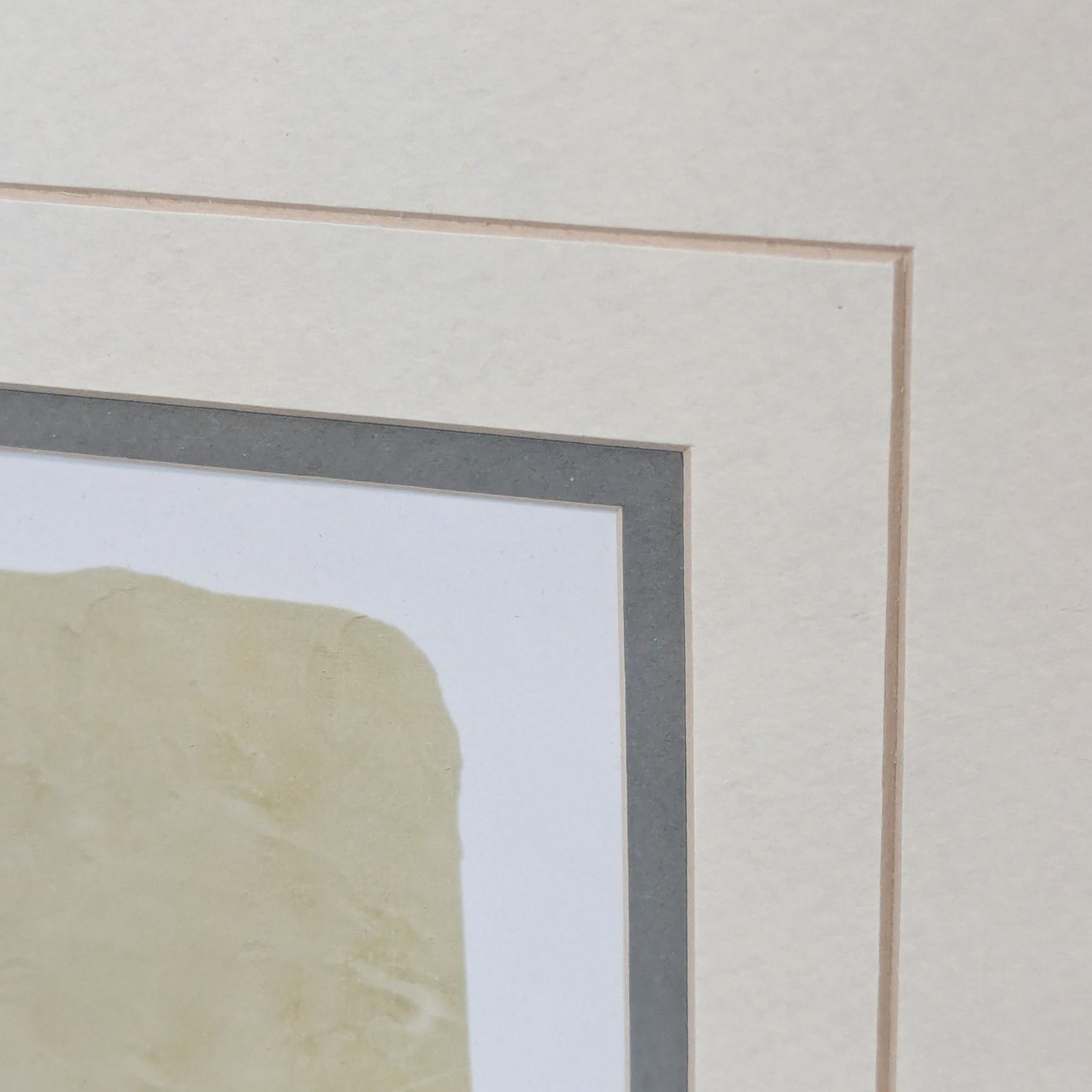 Cheri Blum Four Potted Orchids Framed Print	 - image-4