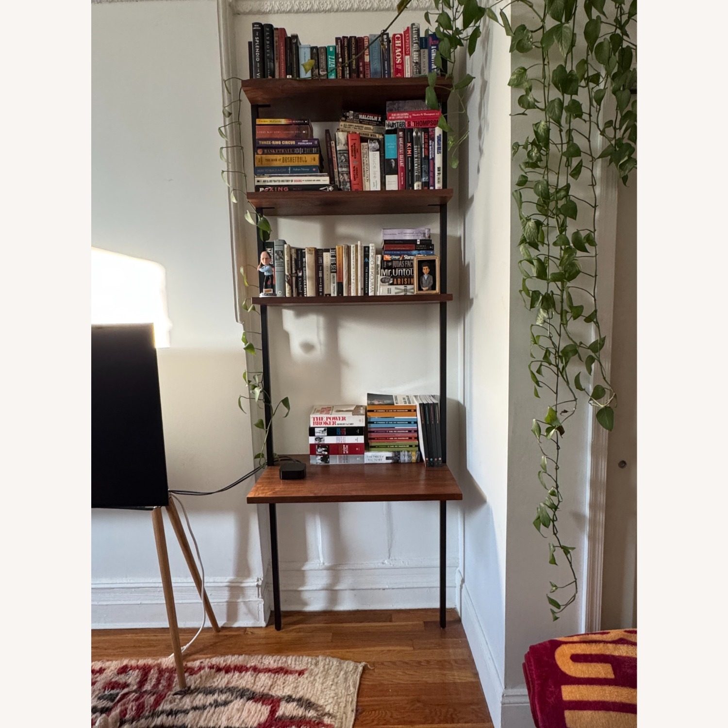 CB2 Helix Walnut Wood Wall Mount Desk with Shelves - image-1