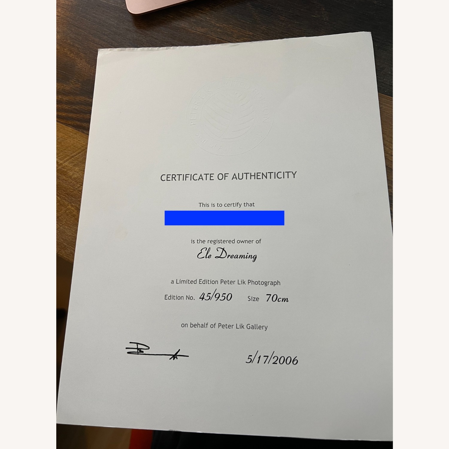 Peter Lik Ele Dreaming Dark Brown Wood Wall Art - image-2