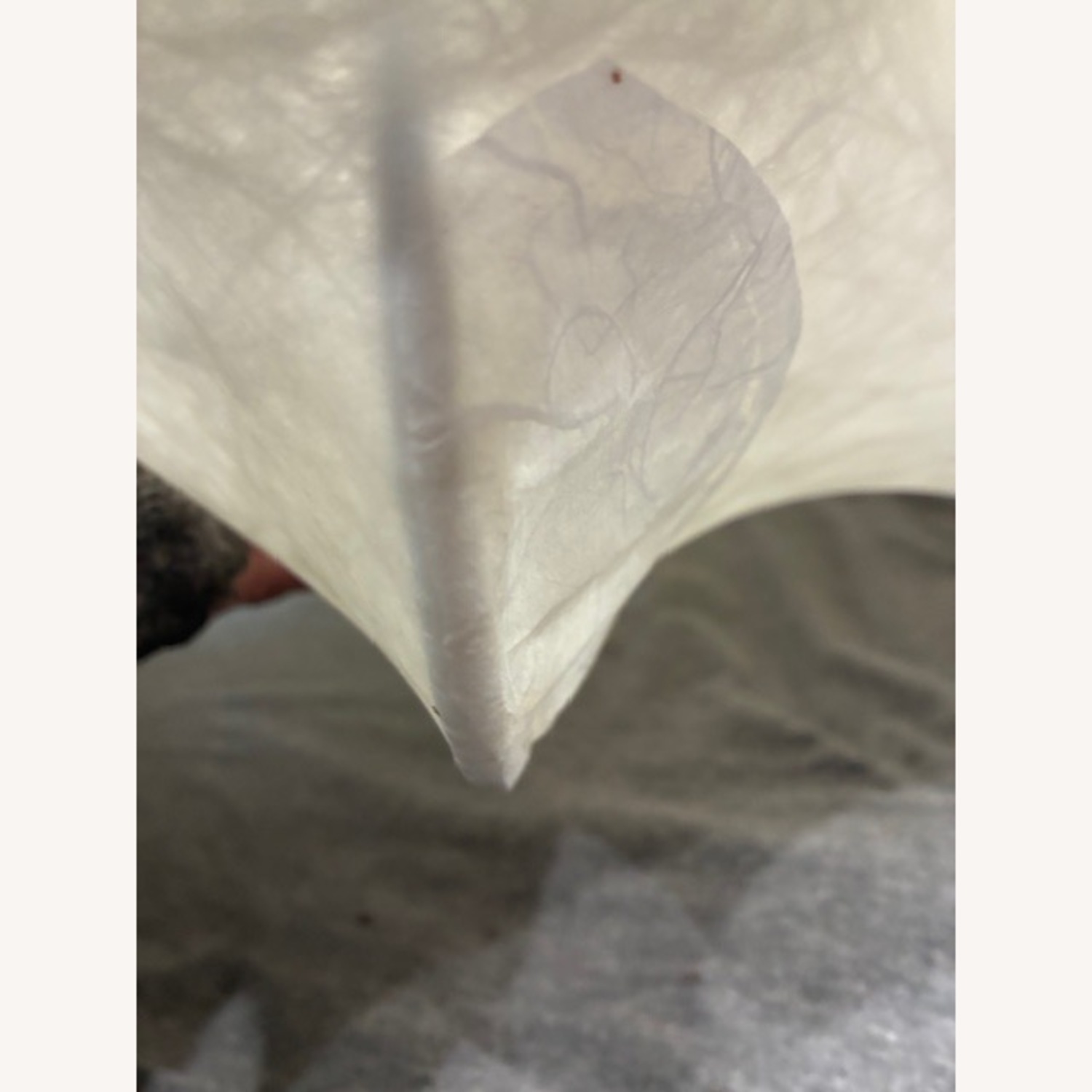 Flos White Ceiling Lamp - image-4