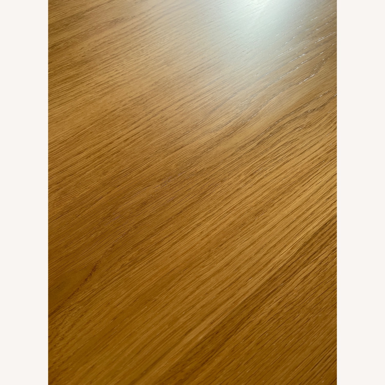 Design Within Reach Dining Set (White Oak / Edel) - image-7