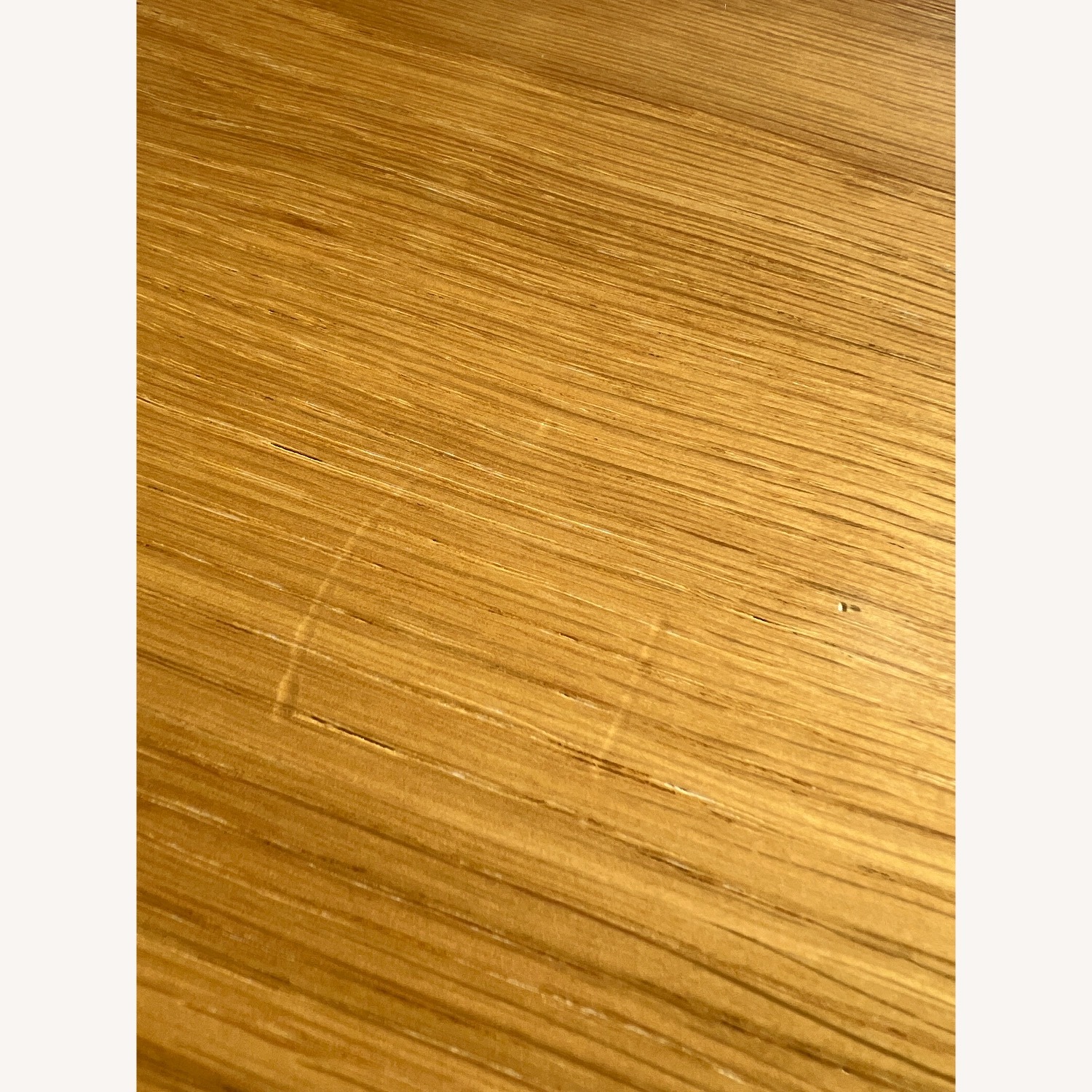 Design Within Reach Dining Set (White Oak / Edel) - image-10