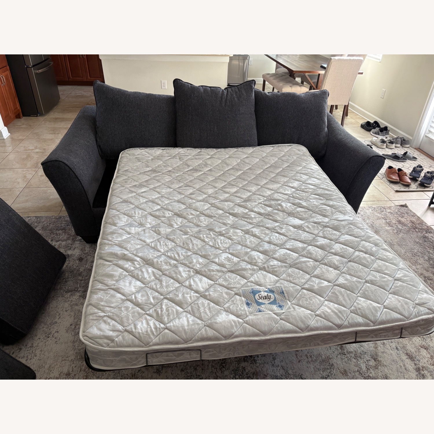 Sleeper Sofa - image-4