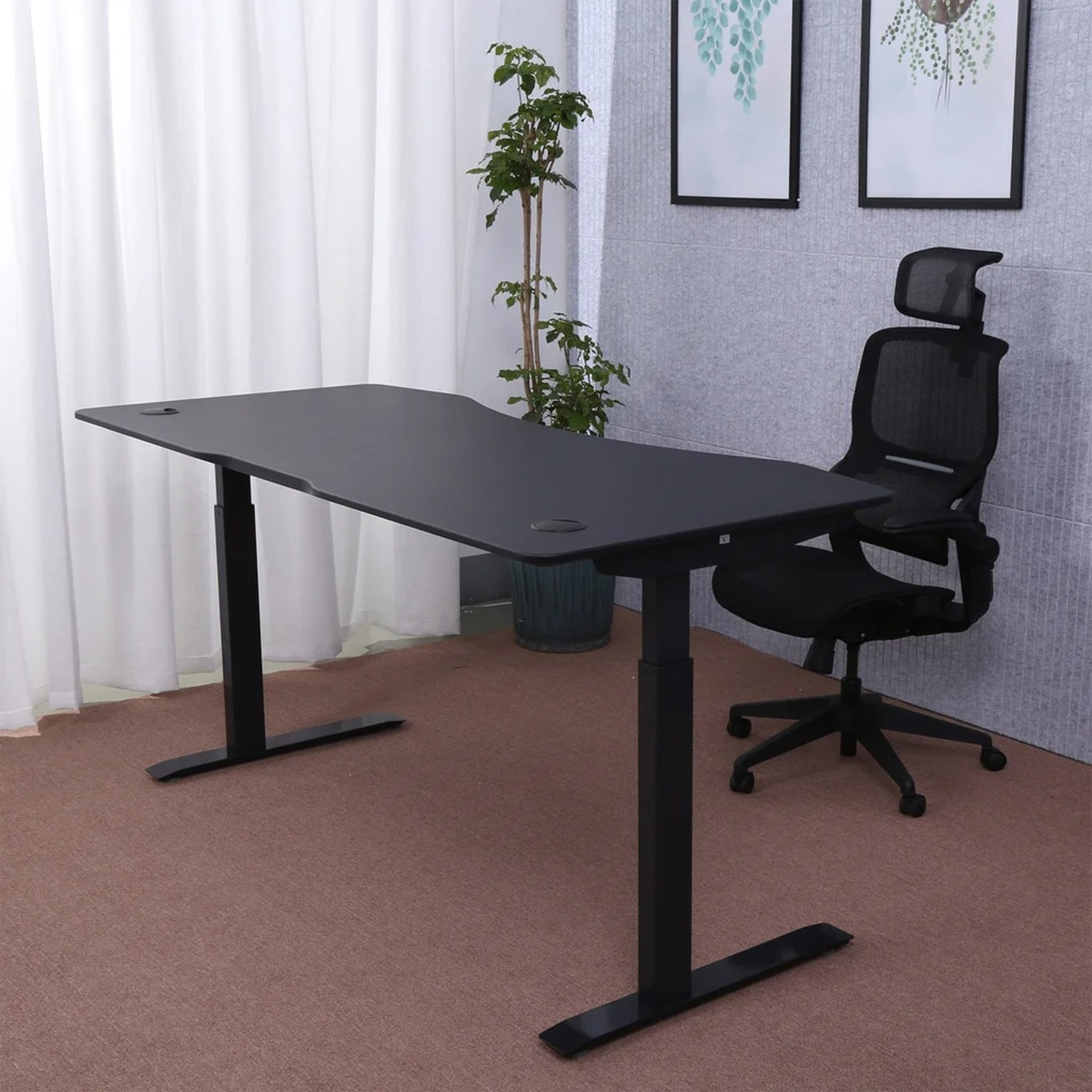 Costsco Height Adjustable Desk (ApexDesk Elite 71” x 33”) - image-4