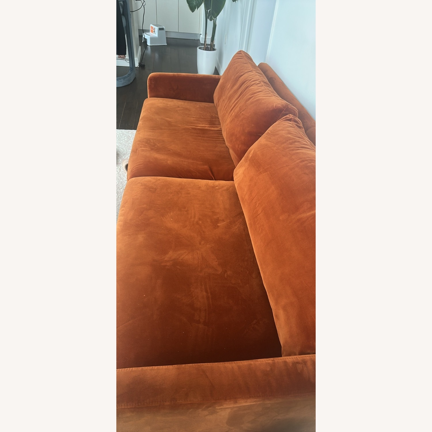 Orange Velvet Loveseat - image-2