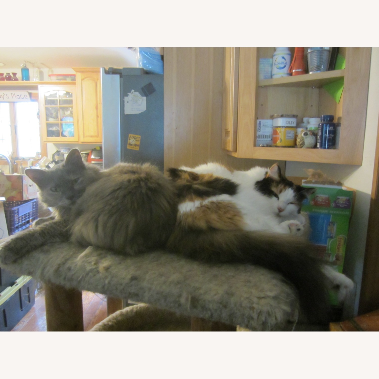 Vintage/Antique Finds Dark Brown Accent Chair - image-1