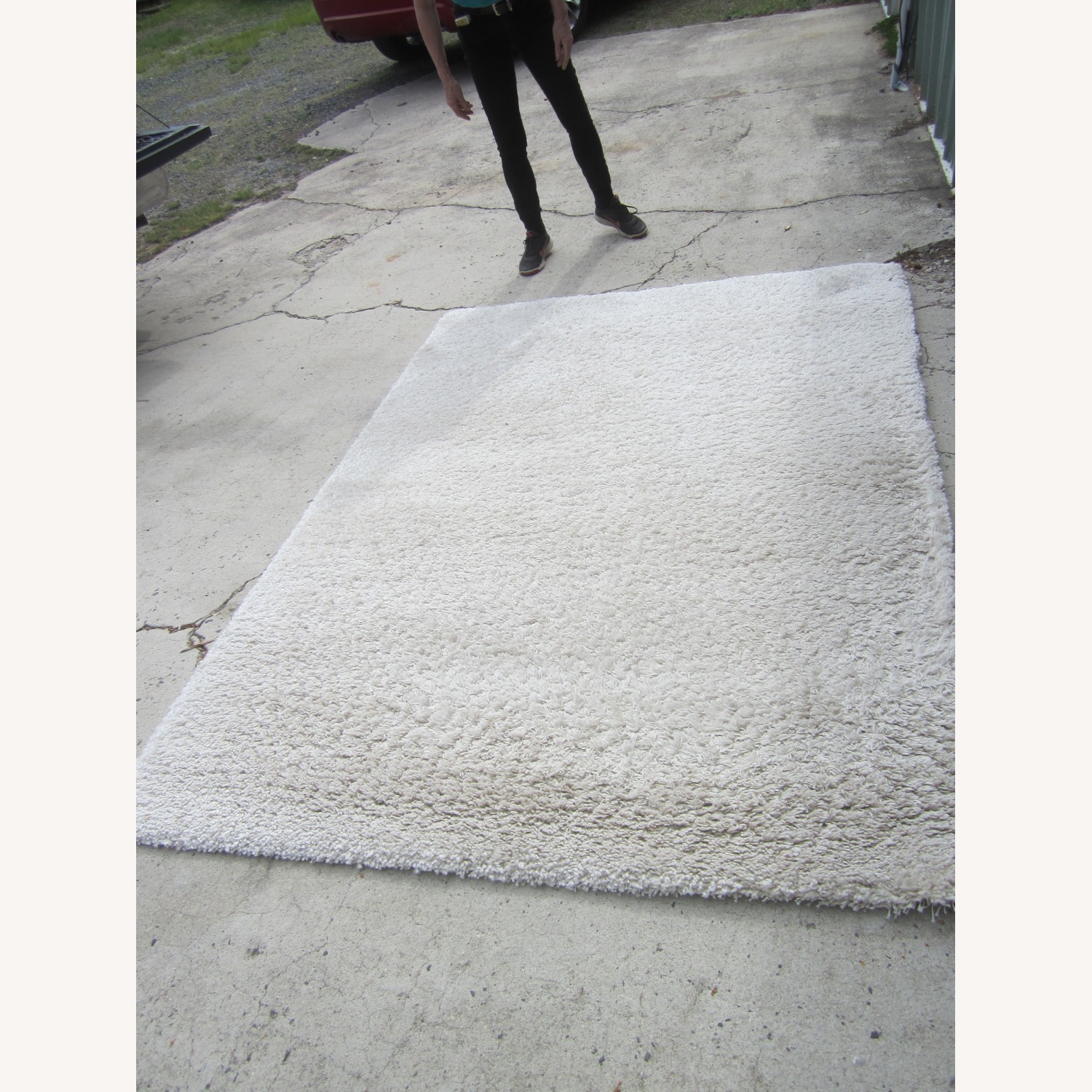 IKEA Area Rug 5' x 8' Cream - image-1