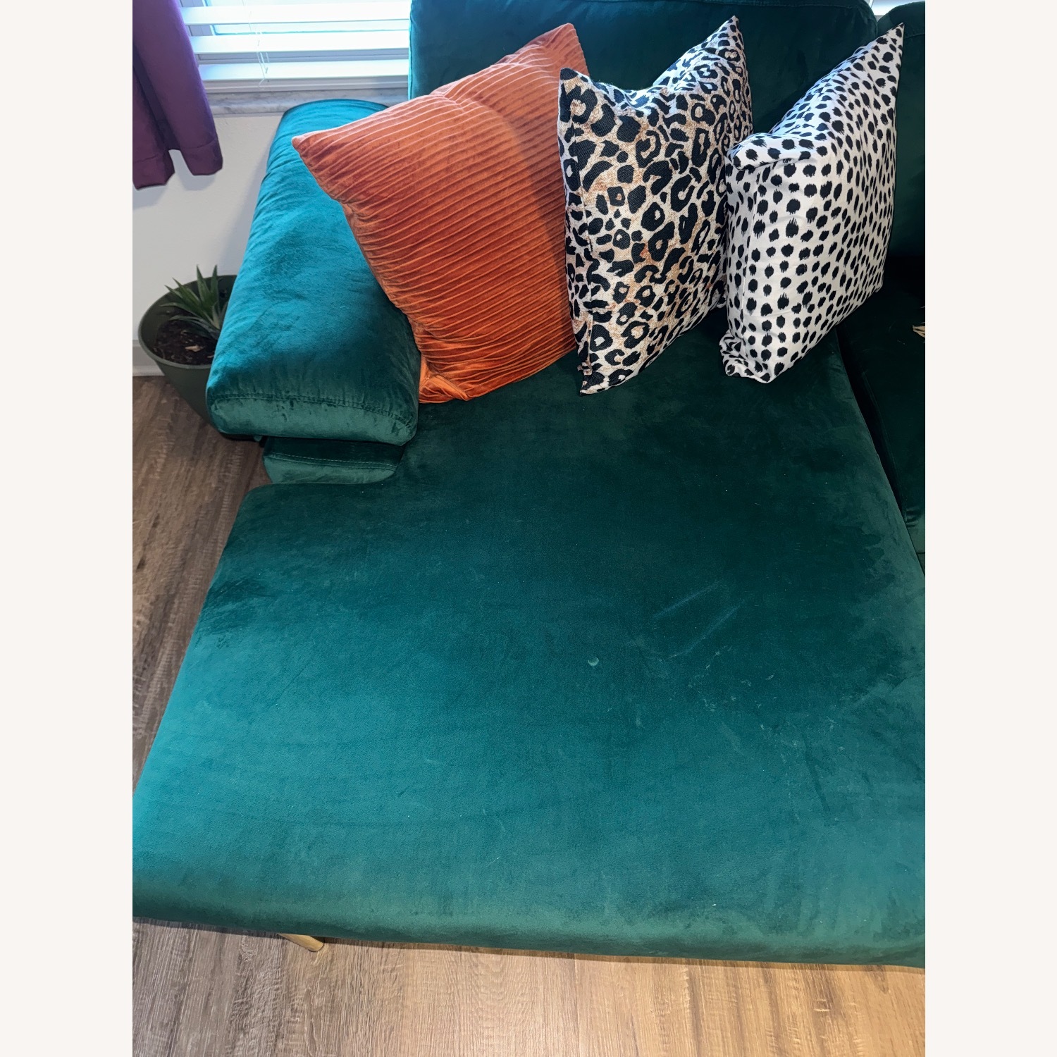 Emerald Green Couch Sectional - image-5