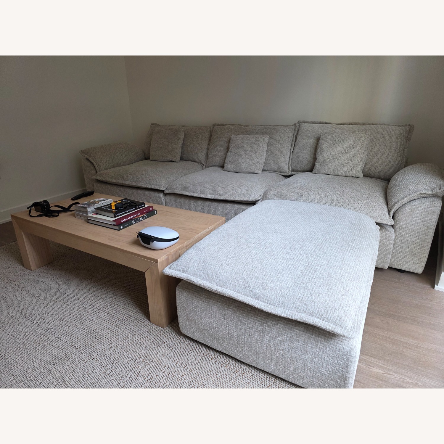 Beige / Natural 4-Piece Modular Sectional - image-2