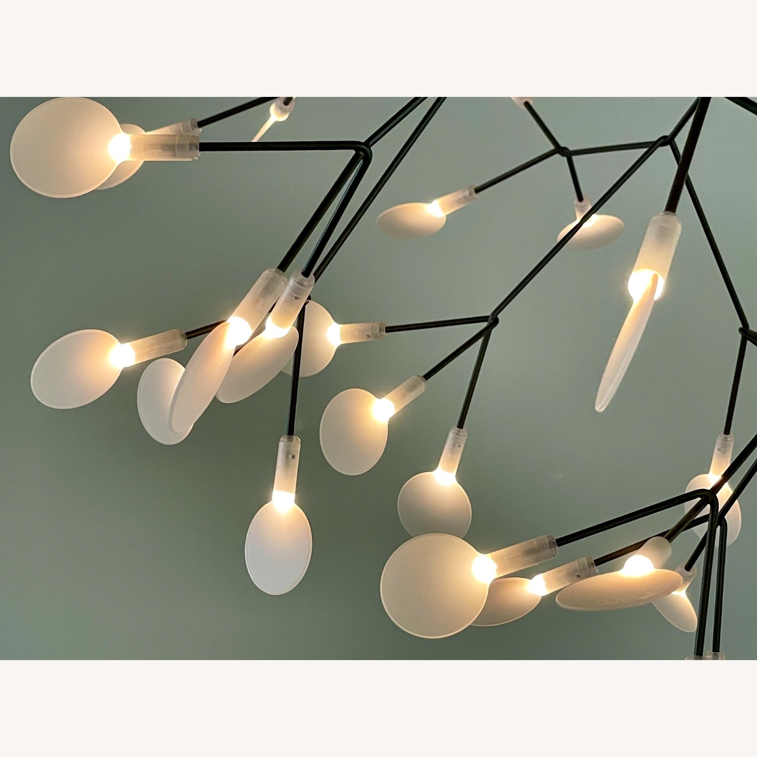 Moooi New York Heracleum III Pendant - image-4