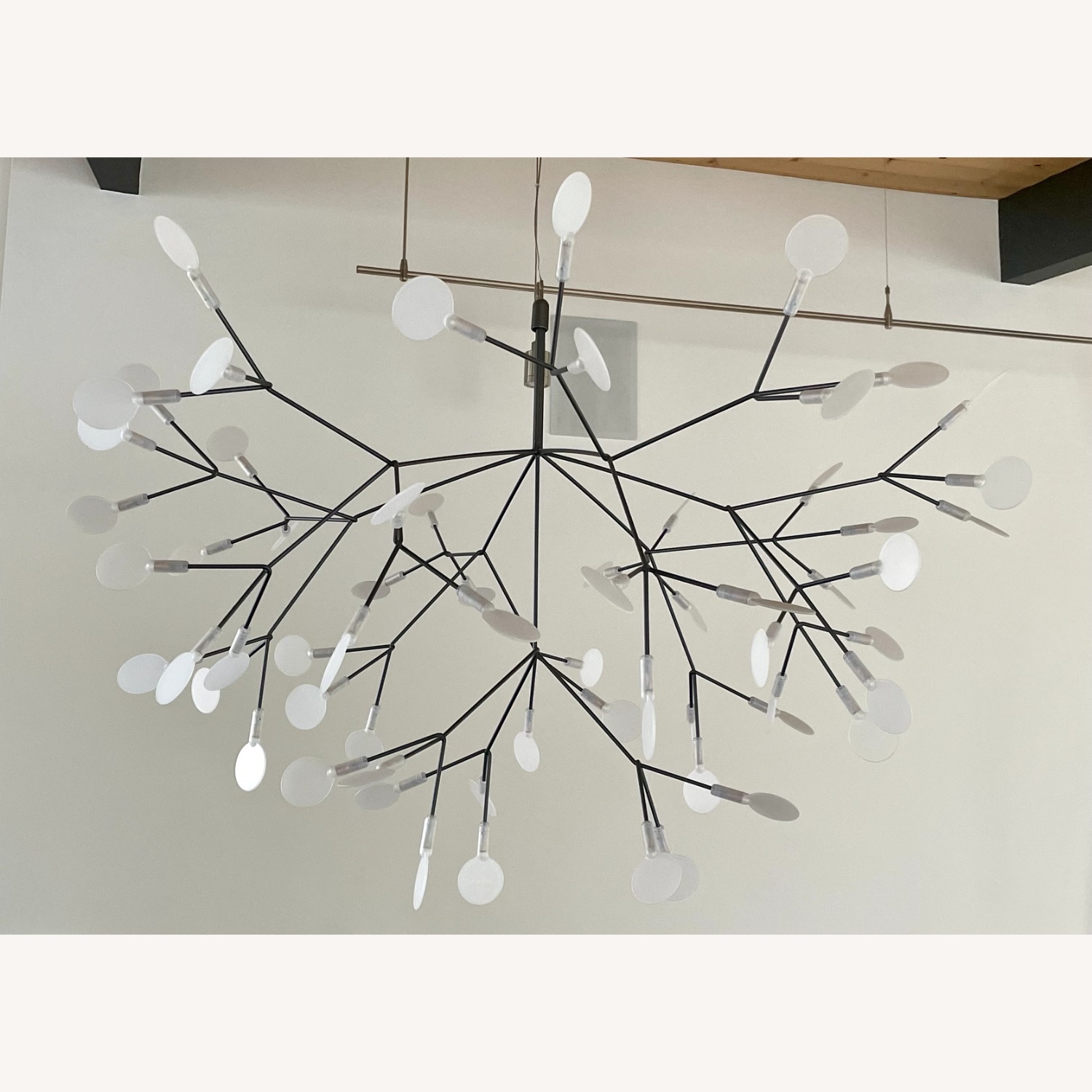 Moooi New York Heracleum III Pendant - image-6
