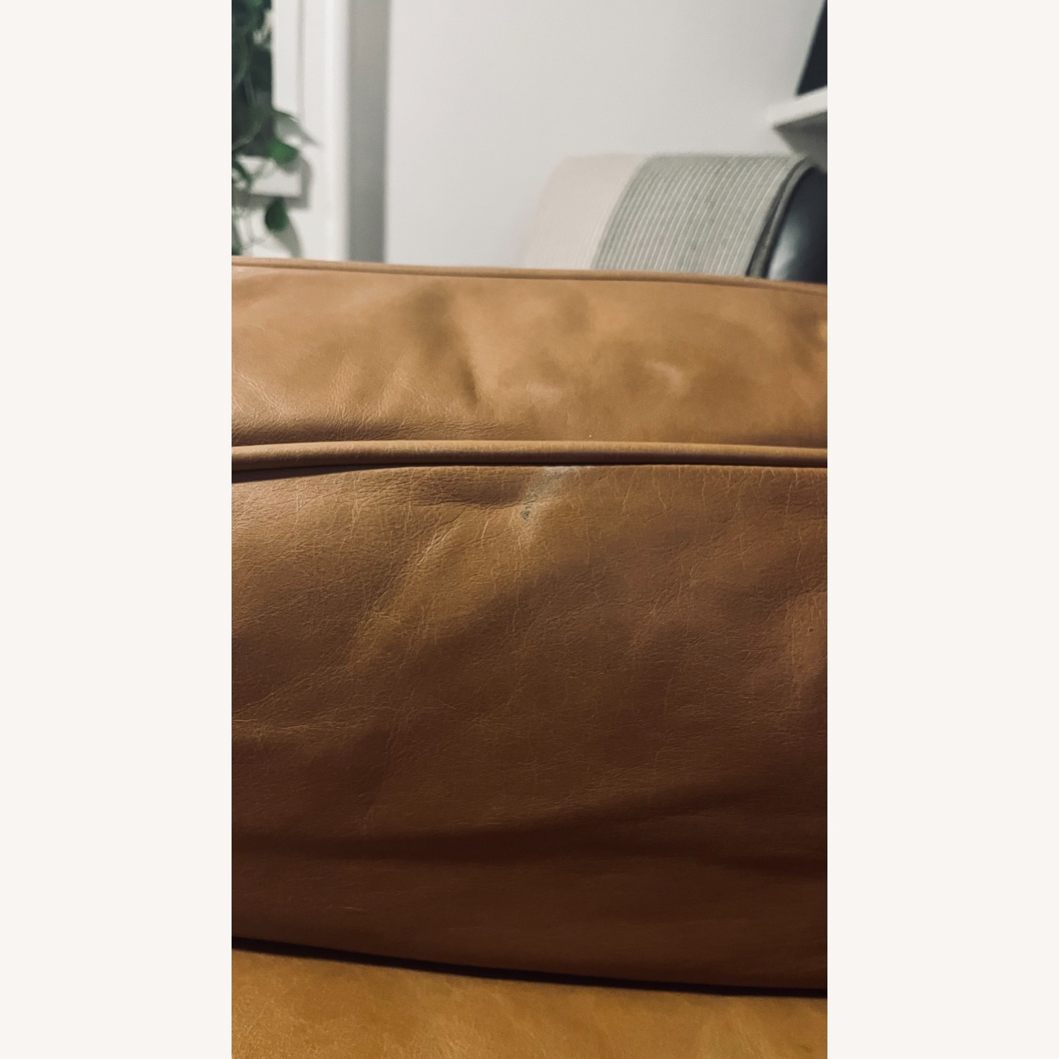 Article Leather & Oak Armchair - image-2