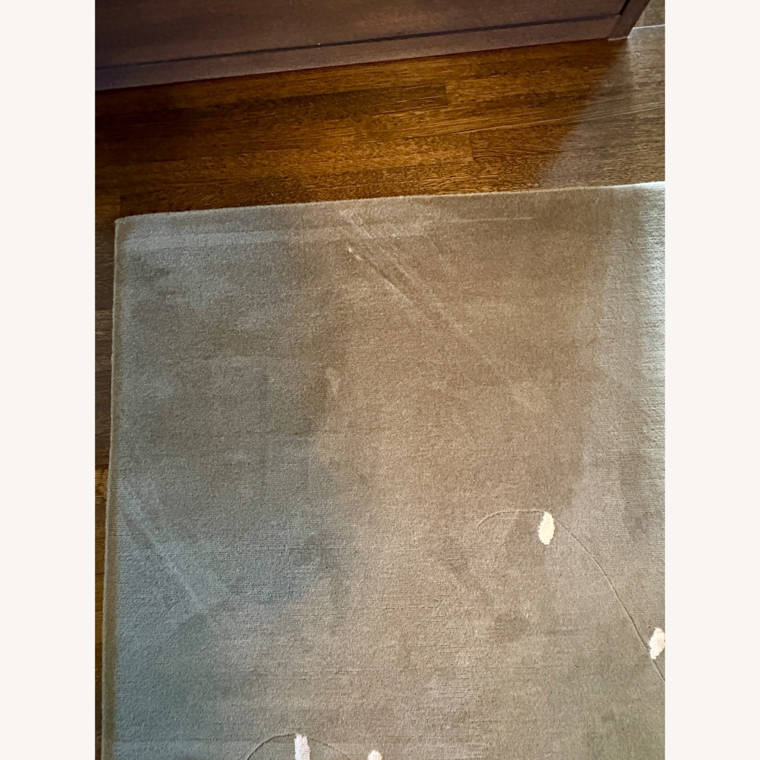 BDDW Tibetan Hand Knotted Rug - image-3