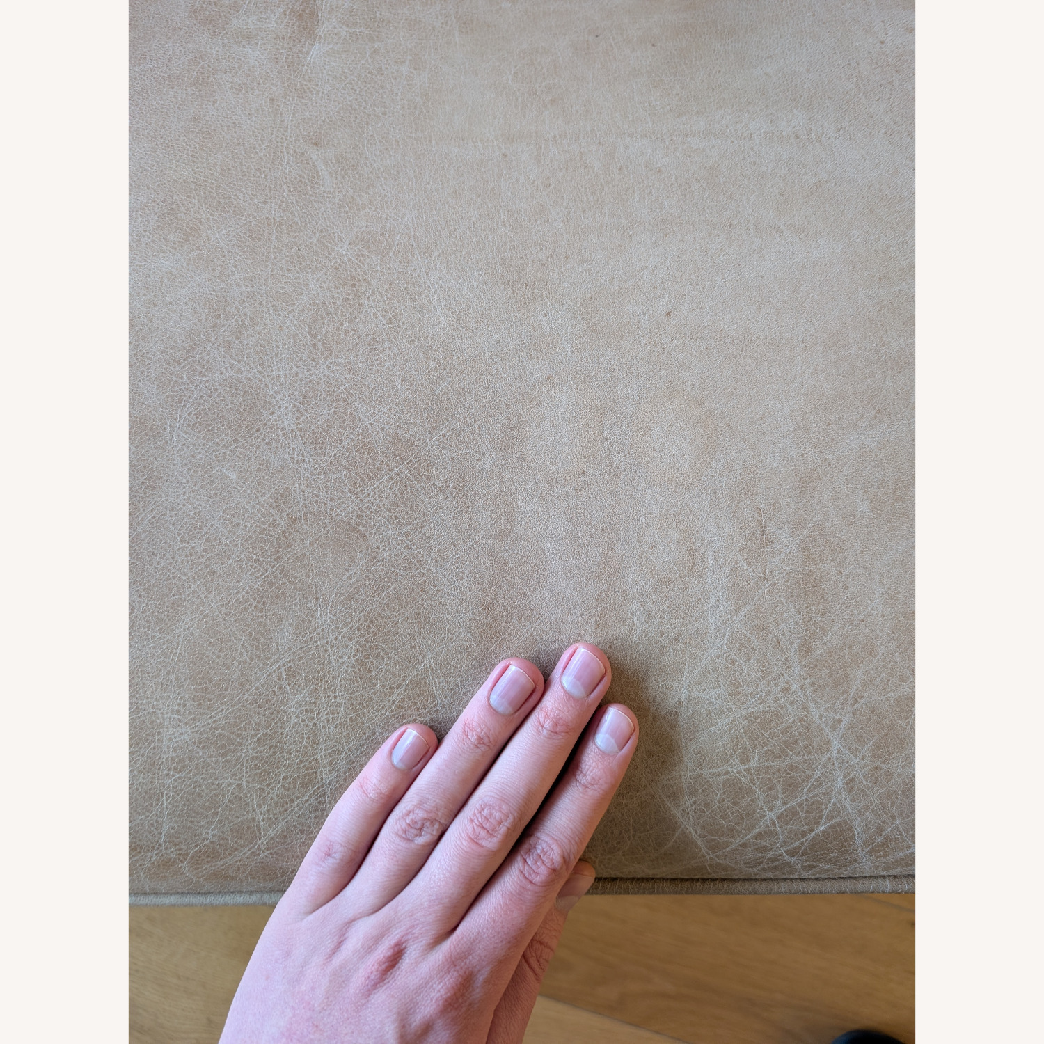 CB2 Lenyx Light Brown Leather 2 Seater Sofa - image-4