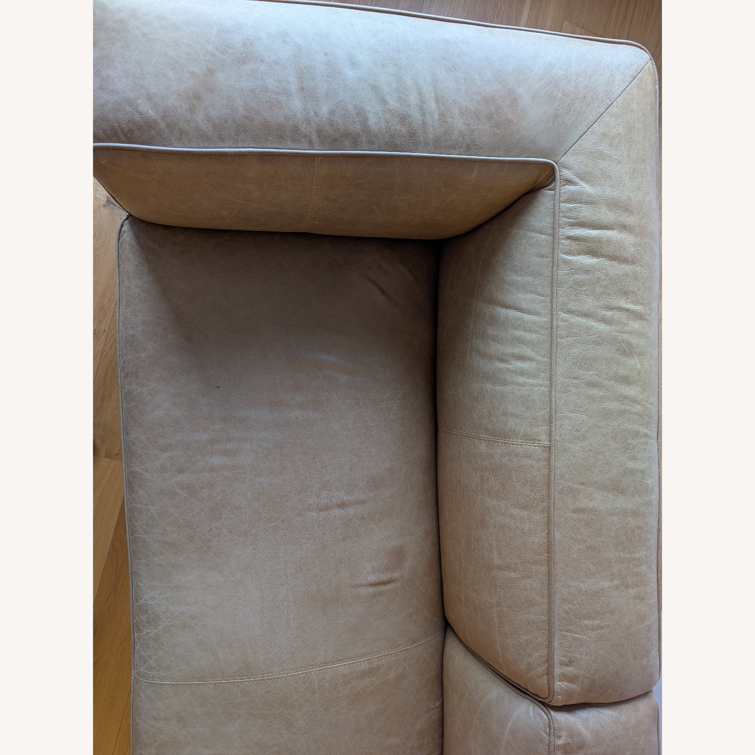 CB2 Lenyx Light Brown Leather 2 Seater Sofa - image-5