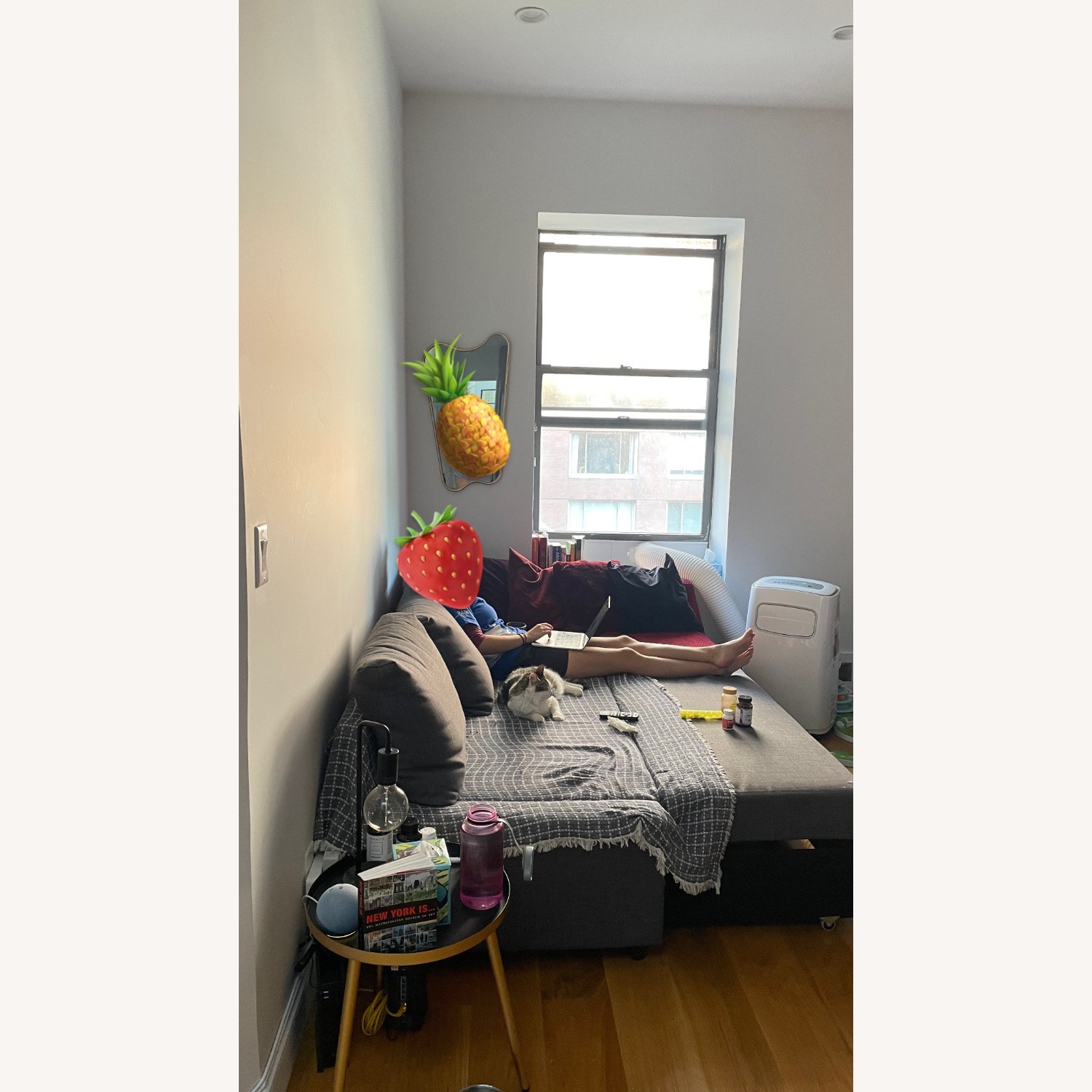 IKEA Friheten Dark Gray Sleeper Sofa - image-3