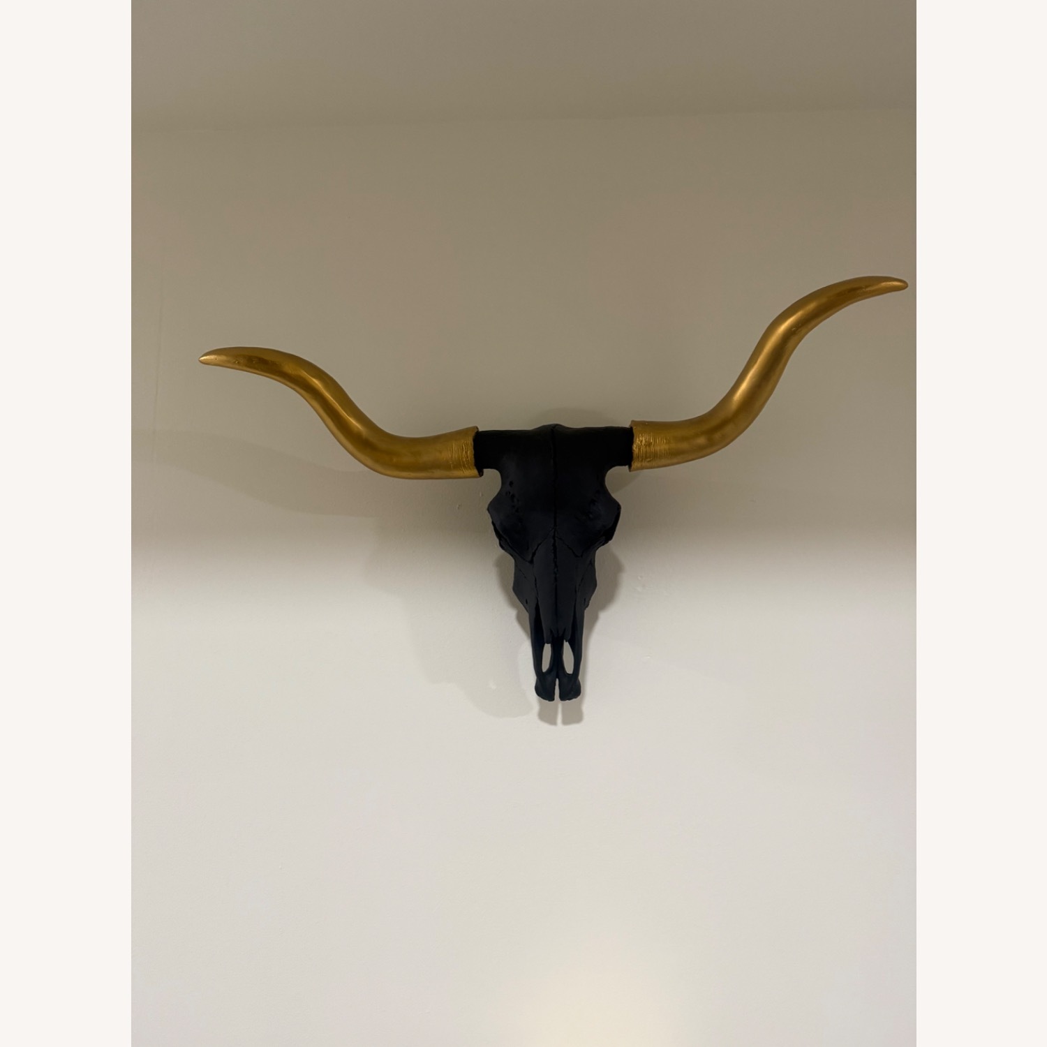 Faux bullhorn Wall Art - image-1