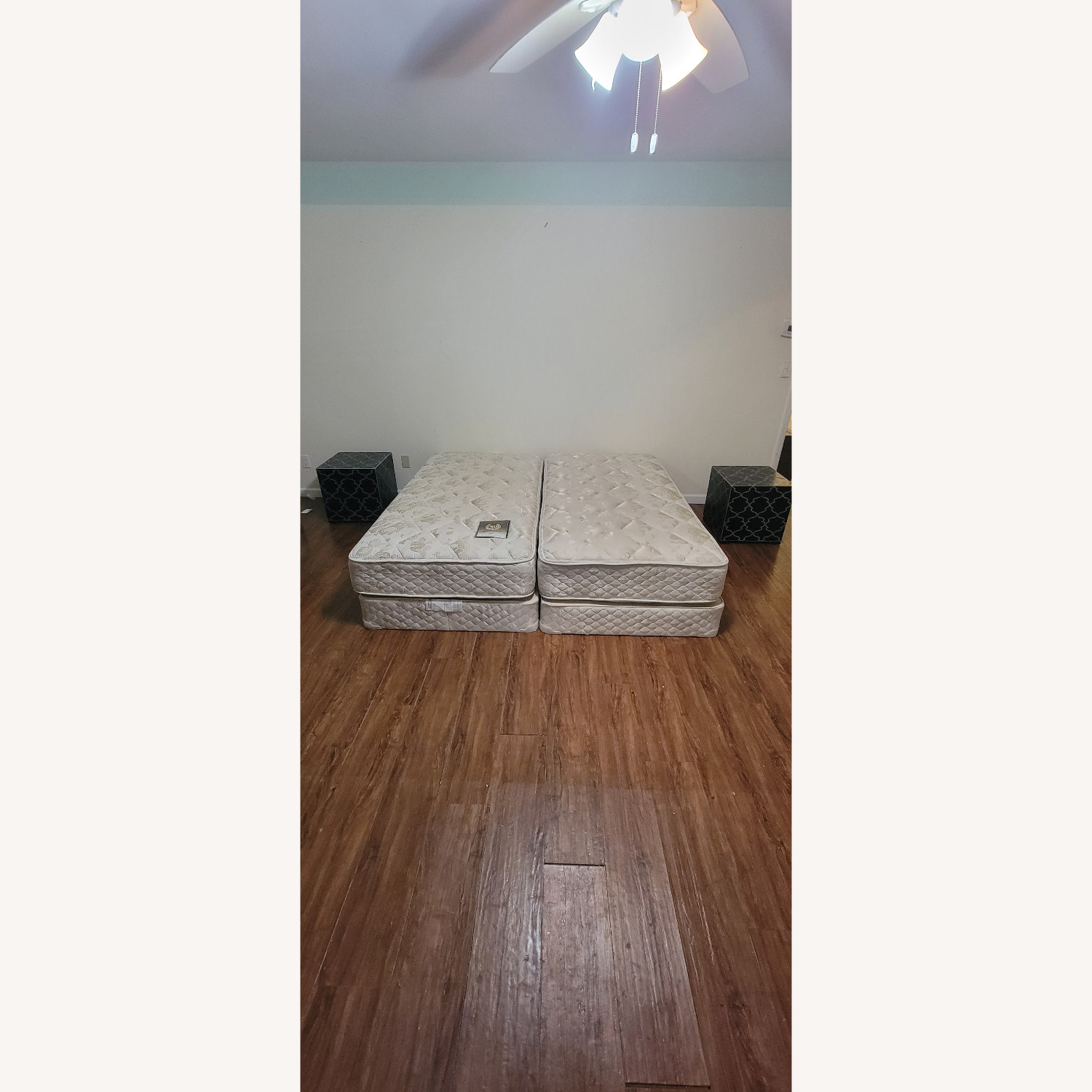 Sealy Cabaret Plush Twin Beds - image-1