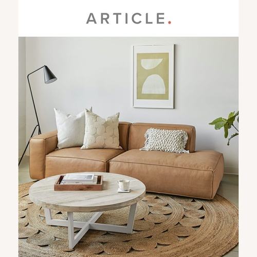 Used Article Solae 2 Seater Sofa for sale on AptDeco