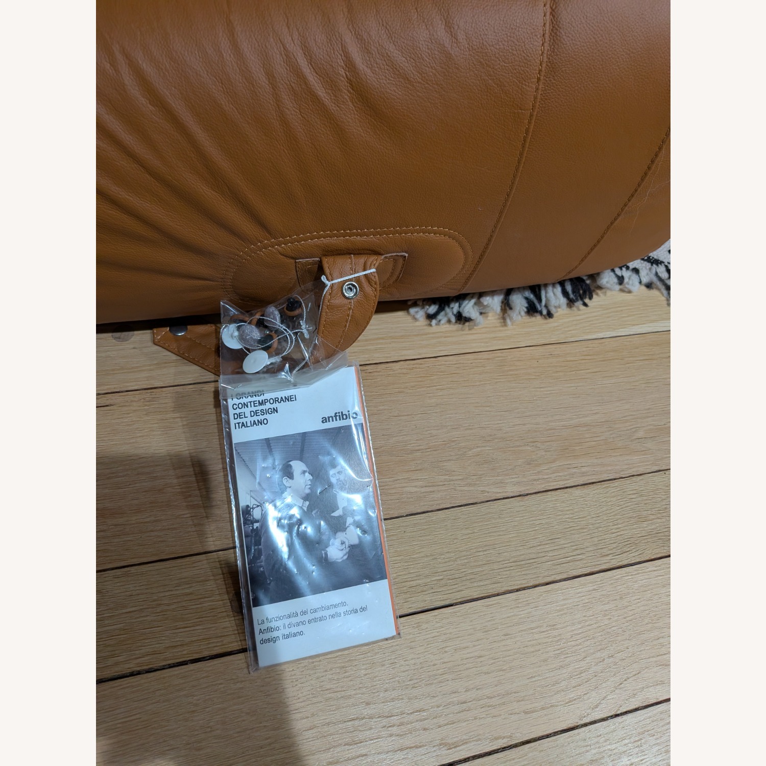  Anfibio 3+ Sofa by Alessandro Becchi - image-10