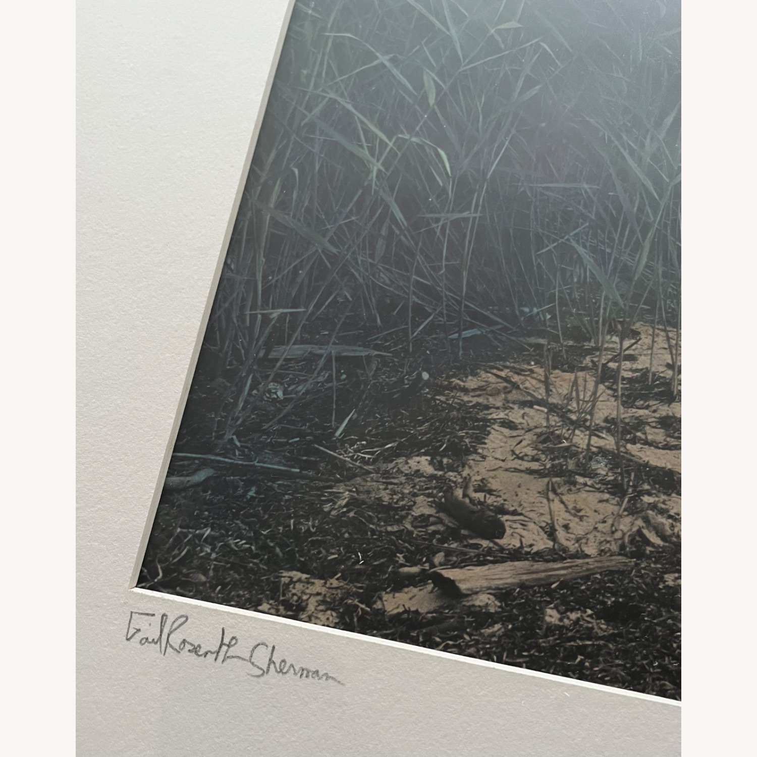 Vintage Art Photo Seascape Coast - image-4