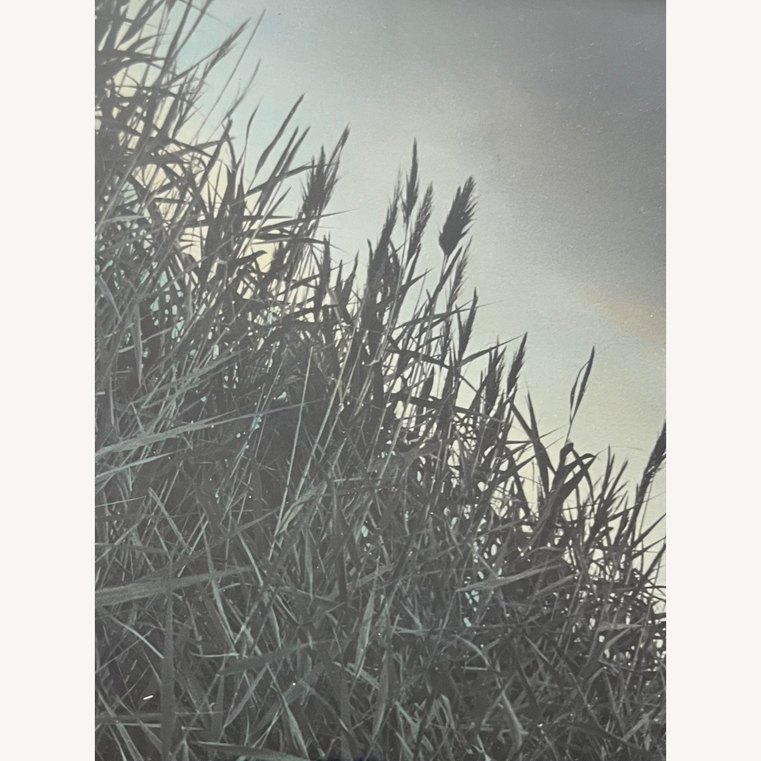 Vintage Art Photo Seascape Coast - image-5