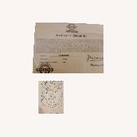 Maternity Picasso Signed With Certificate 