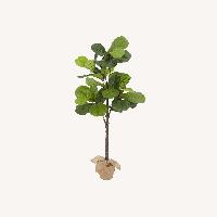 Pottery Barn Faux Fiddle Leaf Tree