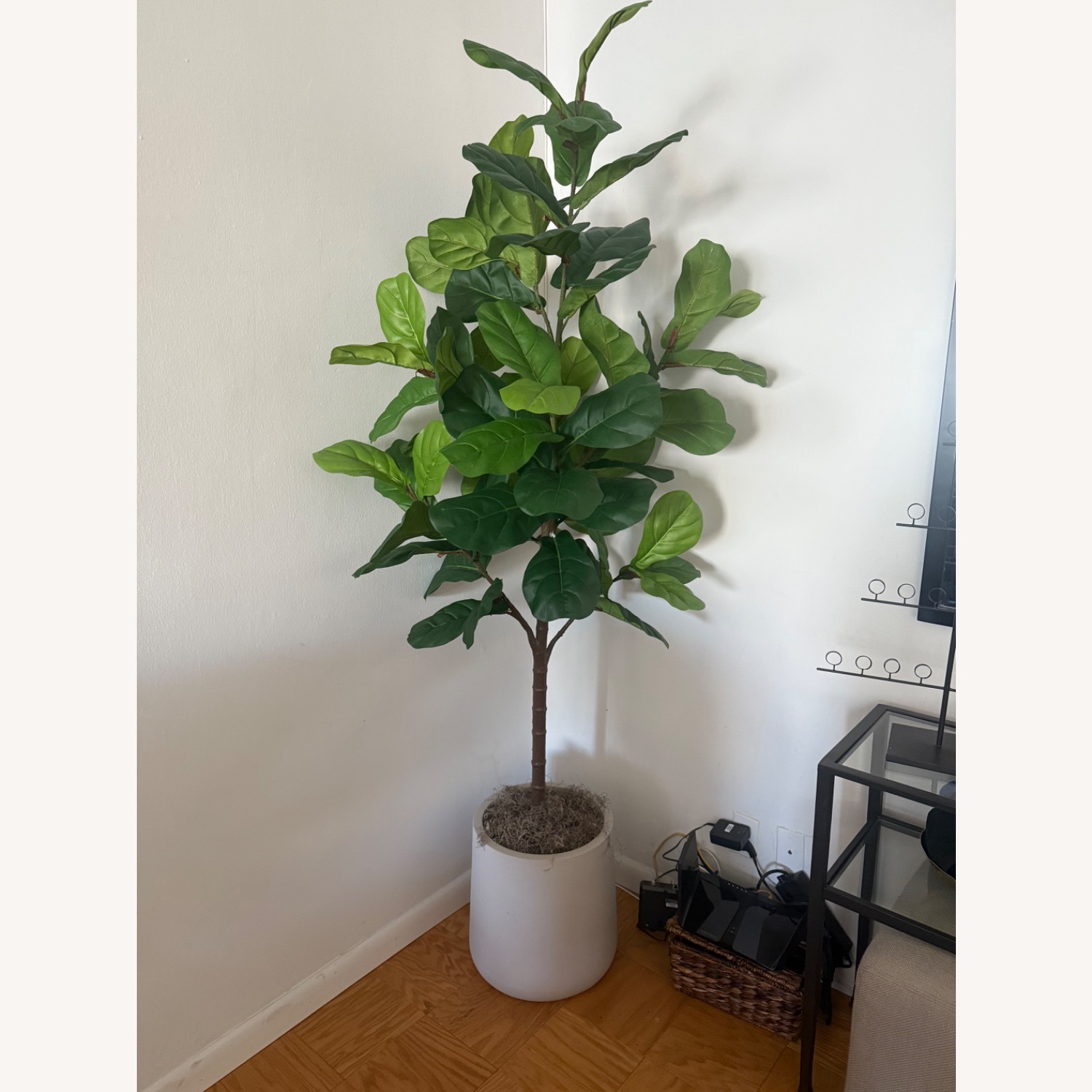 Pottery Barn Faux Fiddle Leaf Tree - image-2