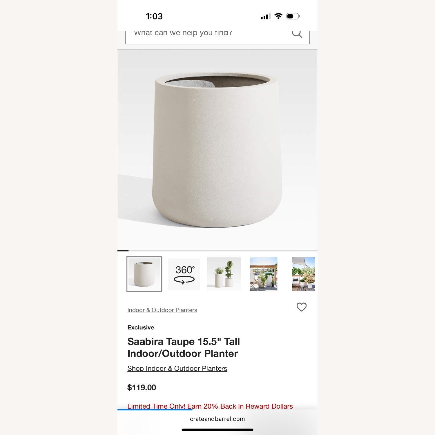 Crate & Barrel Saabira Indoor/Outdoor Planter - image-3