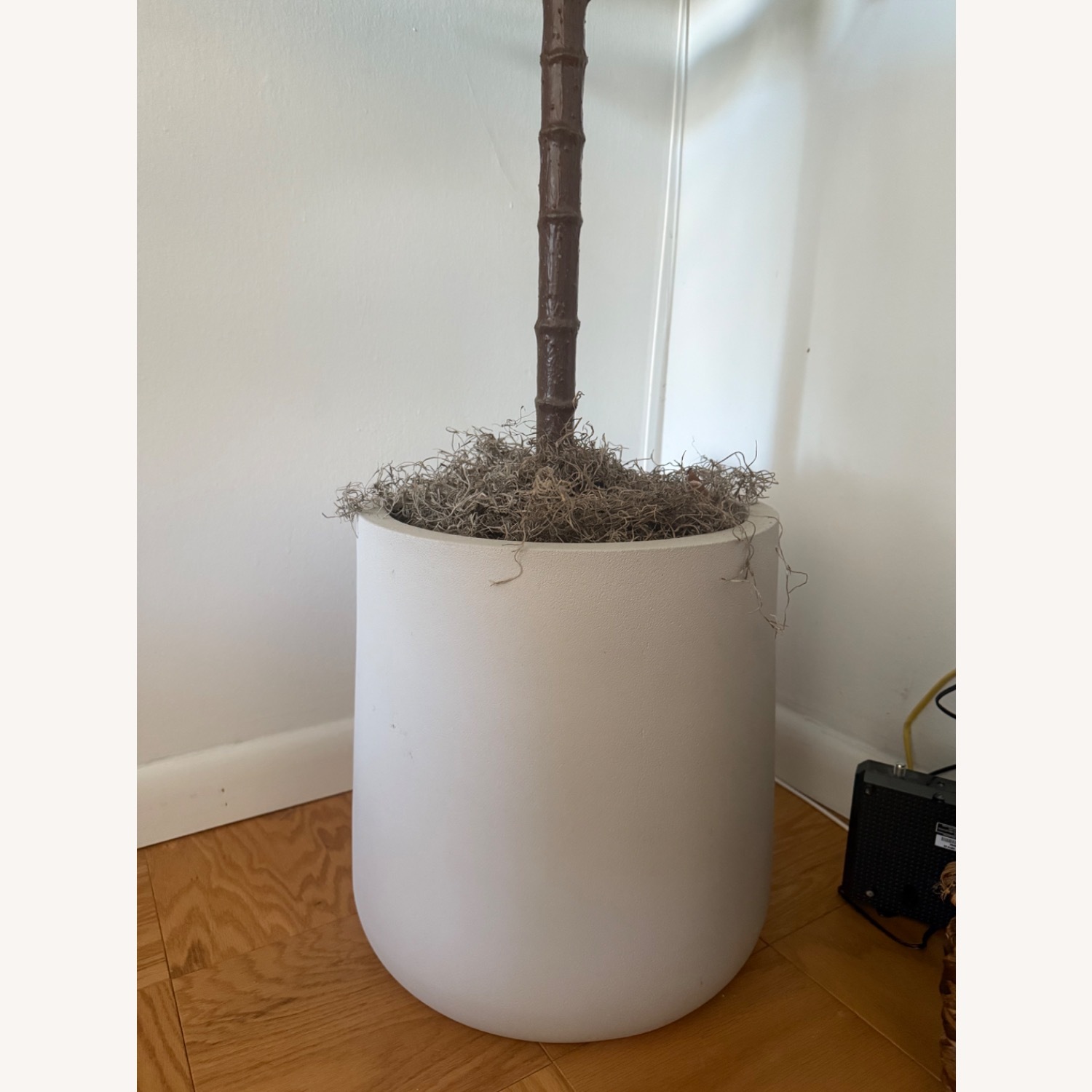 Crate & Barrel Saabira Indoor/Outdoor Planter - image-1