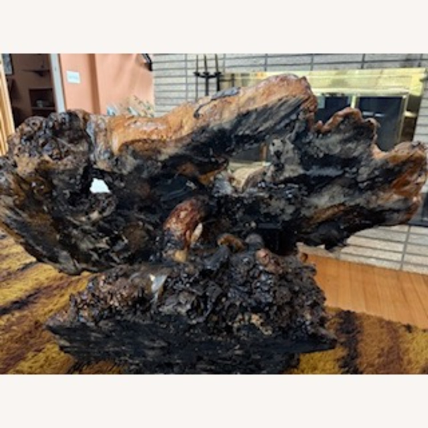 Vintage Redwood Burl Coffee Table - image-5