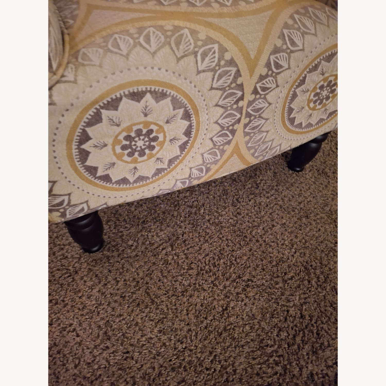 Pier 1 Frankie Gold Suzani Armchair - image-5