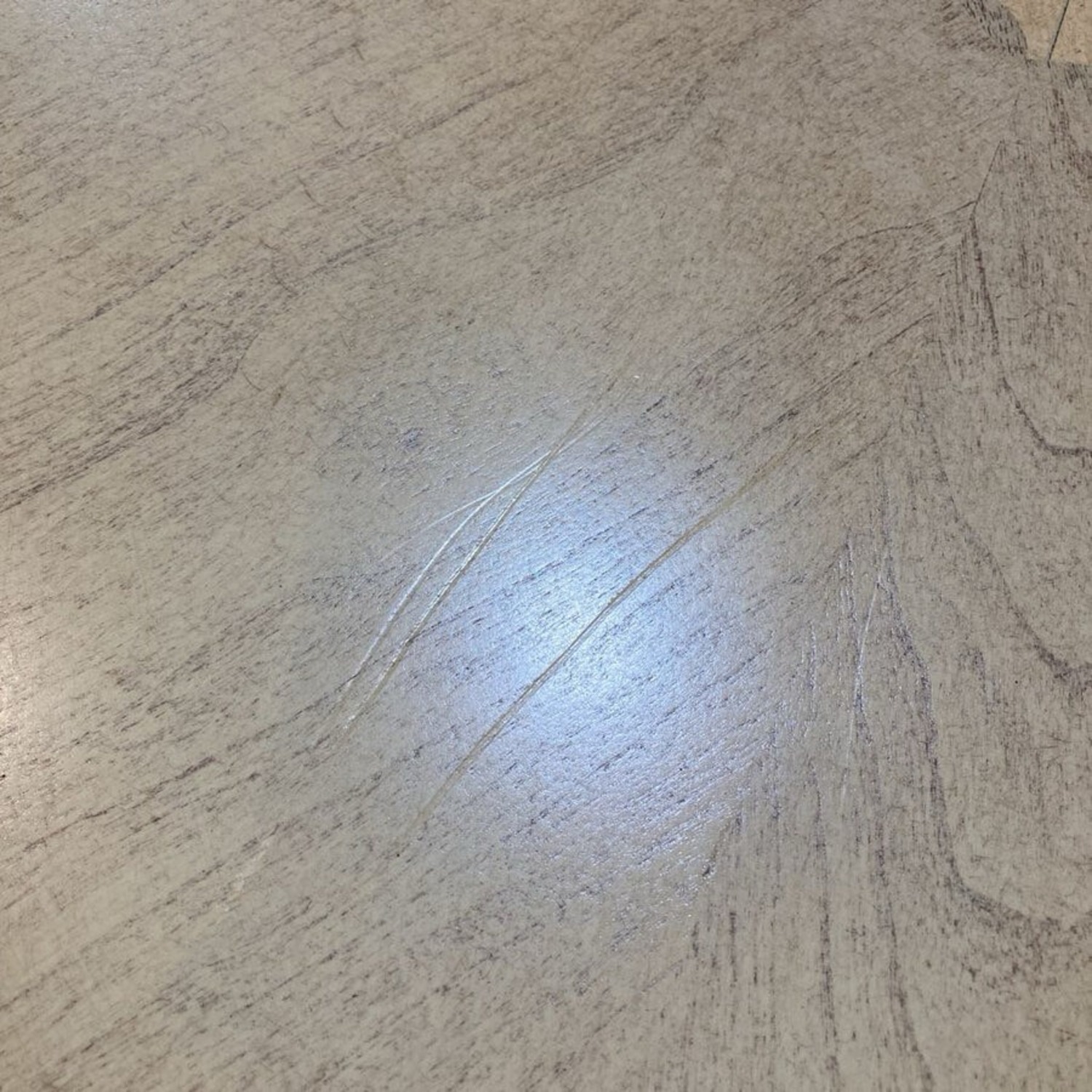 Clayton Oval Coffee Table Light Ash - image-8