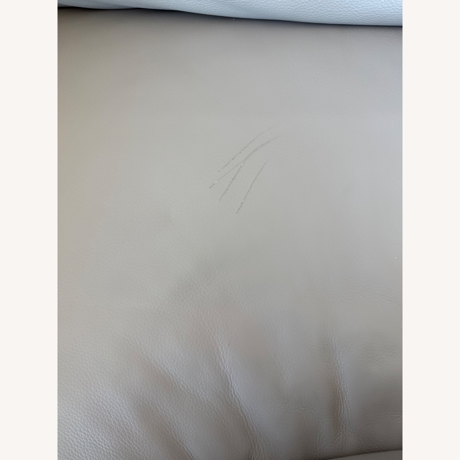 Design Within Reach Light Gray 2 Seater Sofa - image-6