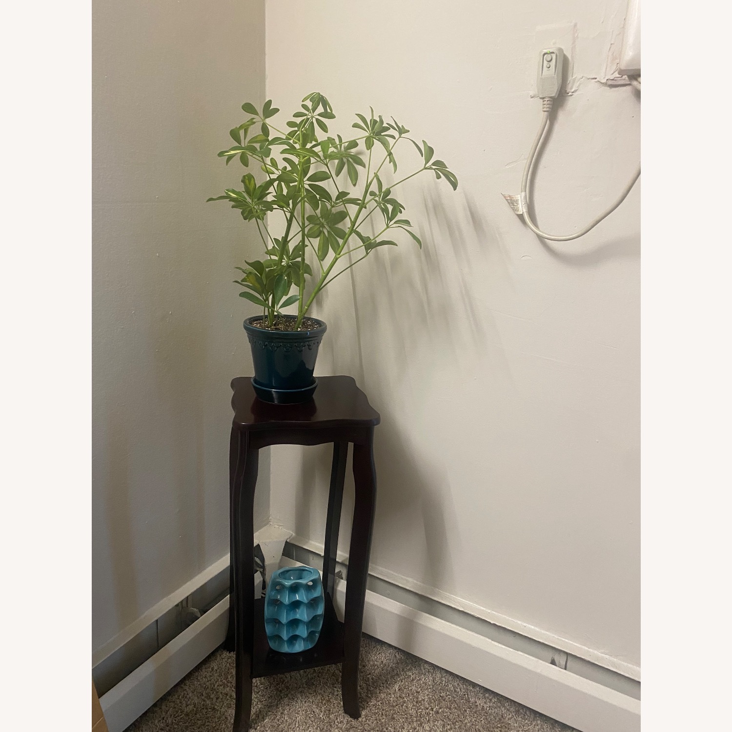 Plant Stand - image-1