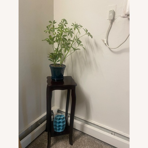 Used Plant Stand for sale on AptDeco