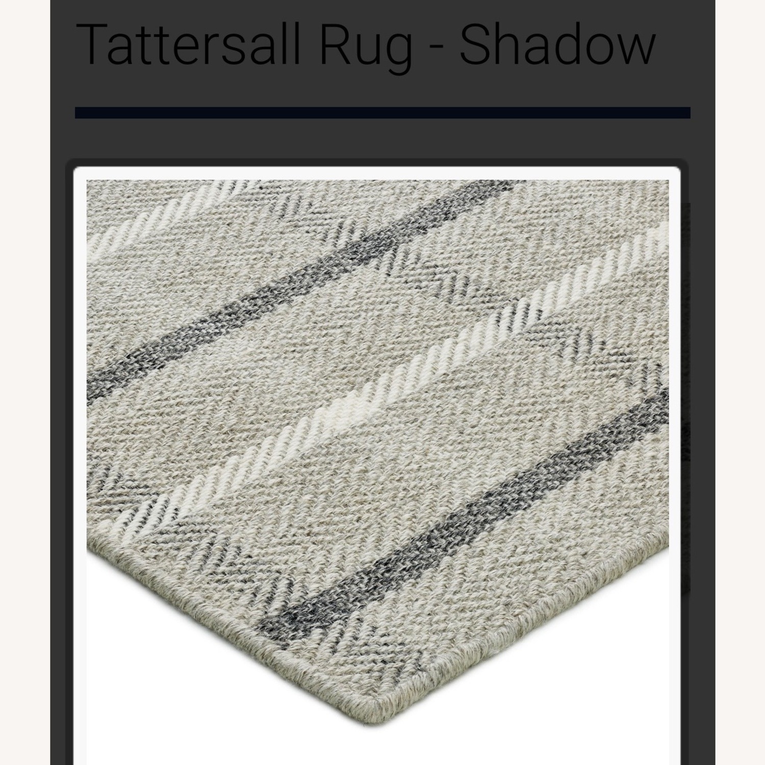 Stanton Tattersail Area Rug - image-4