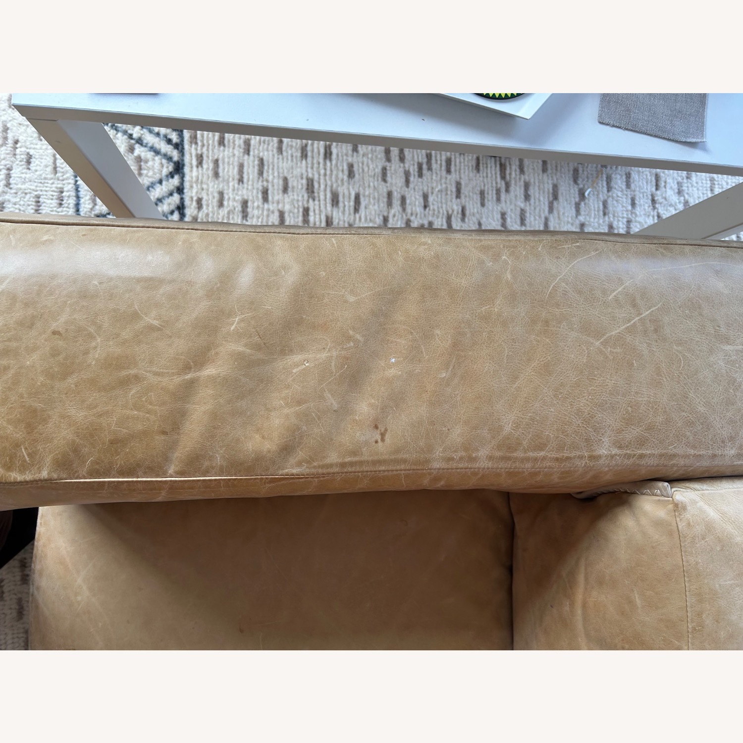 Blue Dot Cleon 76" Leather Sofa - image-4