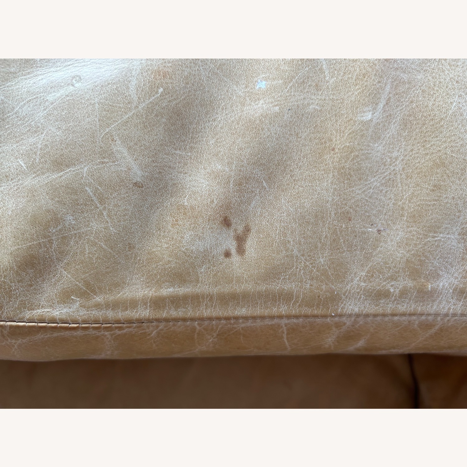 Blue Dot Cleon 76" Leather Sofa - image-8